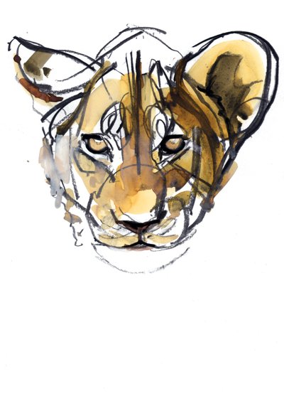 Gelber Jungvogel von Mark Adlington
