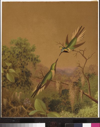 Brasilianische Kolibris IV von Martin Johnson Heade