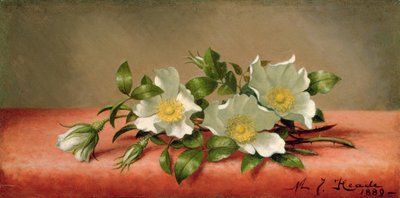 Cherokee-Rosen, 1889 von Martin Johnson Heade