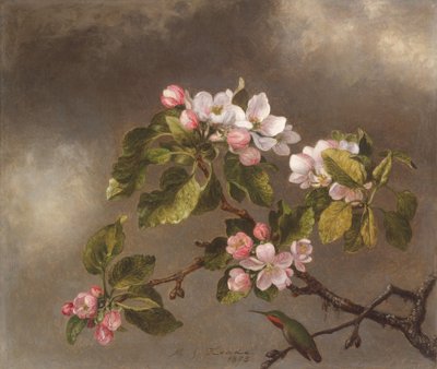 Kolibri und Apfelblüten, 1875 von Martin Johnson Heade