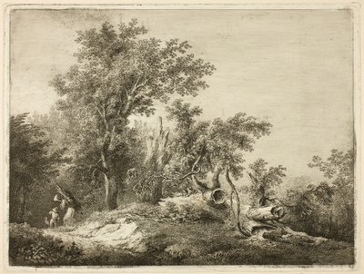 Der gefallene Baumstamm von Martin von Molitor
