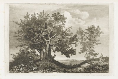 Landweg zwischen zwei Baumgruppen von Martinus Antonius Kuytenbrouwer jr.