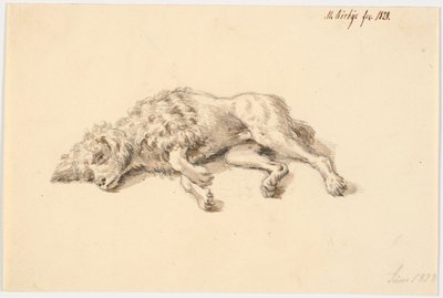 Liegender Pudel von Martinus Rørbye