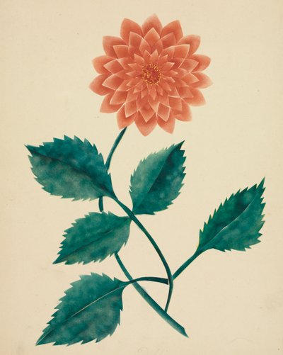 Dahlie von Mary Altha Nims