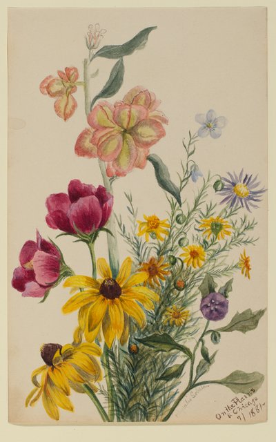 Blumengruppe von Mary Vaux Walcott