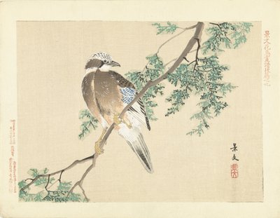 Eichelhäher auf einem Ast von Matsumura Keibun