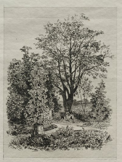 In meinem Bordeaux-Garten von Maxime Lalanne