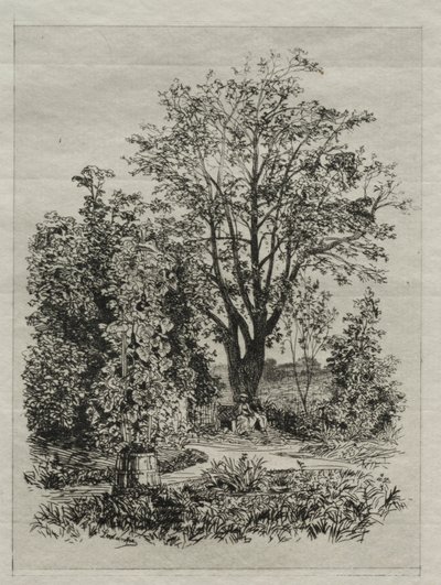 Mein Garten von Maxime Lalanne