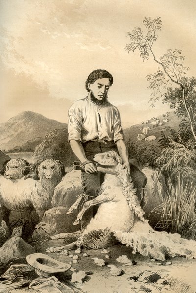 Schafschur, 1879 von McFarlane and Erskine