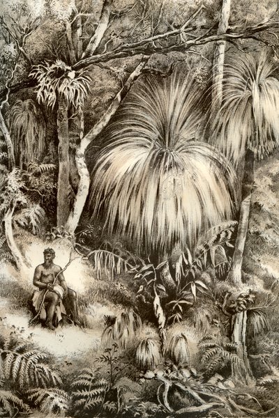Tasmanische Waldszene, 1879 von McFarlane and Erskine