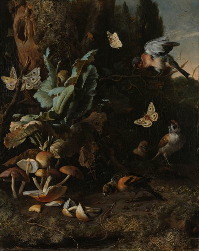 Tiere und Pflanzen von Melchior d