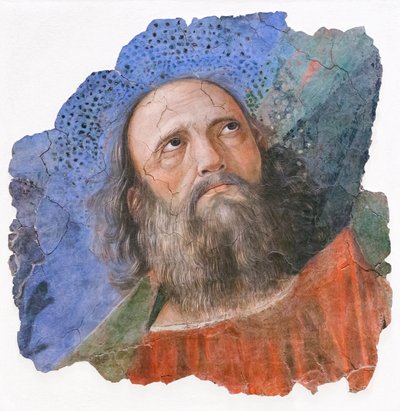 Apostelkopf von Melozzo da Forli