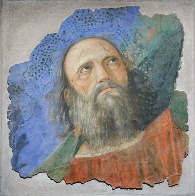 Apostelkopf, ca. 1480 von Melozzo da Forli