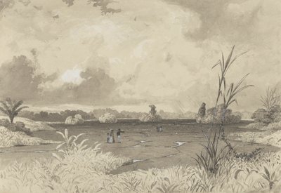 Der Pechsee von Michel Jean Cazabon