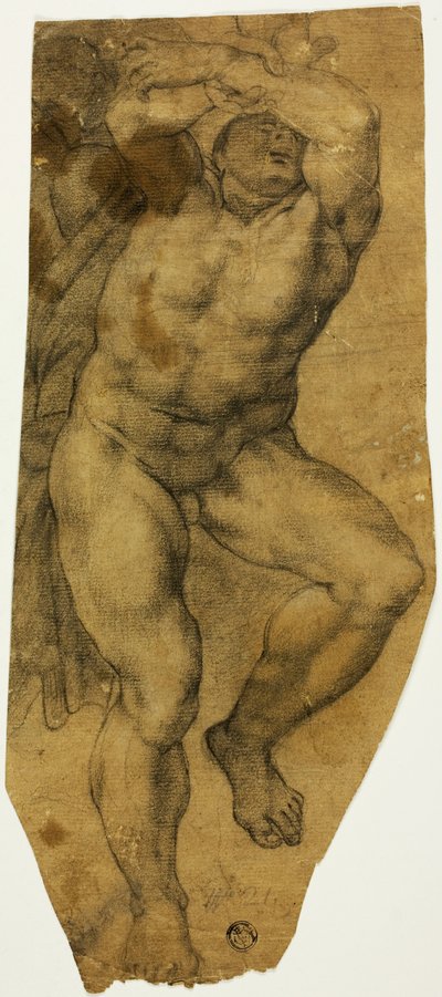 Aufsteigender männlicher Akt von Michelangelo Buonarroti