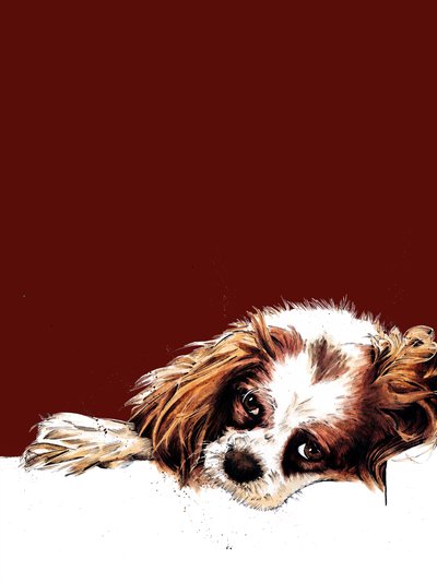Meg der Spaniel auf Rotoxid von Mike Davis