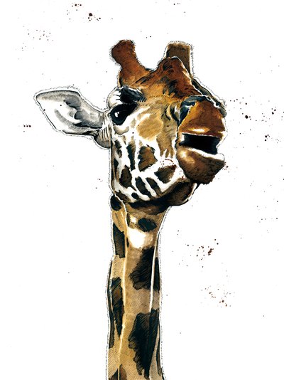 Die Giraffe auf Weiß von Mike Davis