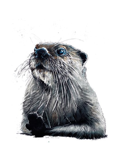 Der Otter auf Weiß, 2020 von Mike Davis