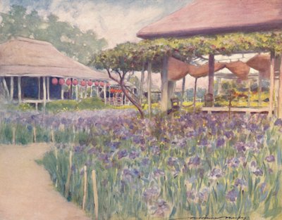 Ein Irisgarten, 1903 von Mortimer L Menpes