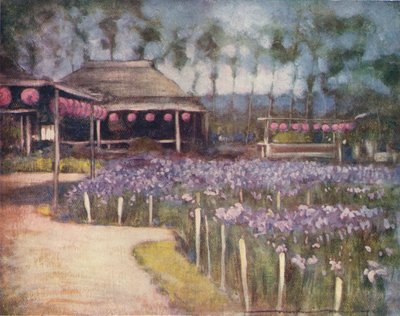 Irisgarten, ca. 1887, 1901 von Mortimer L Menpes