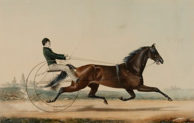 Mac von Nathaniel Currier