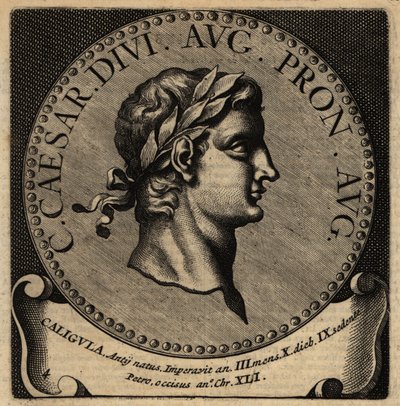 Porträt des römischen Kaisers Caligula von Netherlandish School