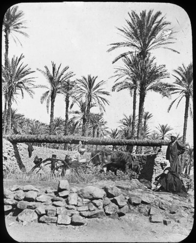 Wasserrad, Ägypten, um 1890 von Newton and Co