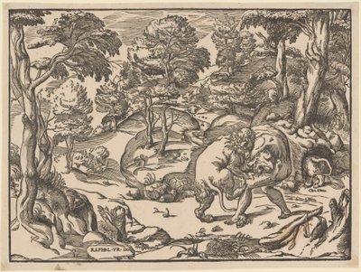 Herkules und der nemeische Löwe von Nicolò Boldrini, after Raphael