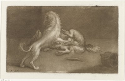Zwei spielende Hunde von Nicolaas Verkolje