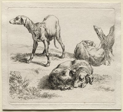 Animalia: Drei Jagdhunde von Nicolaes Berchem