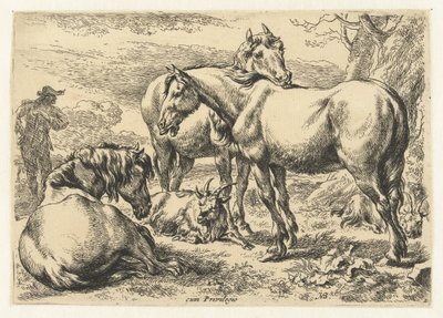 Drei Pferde (Dieren, Serientitel) von Nicolaes Pietersz Berchem