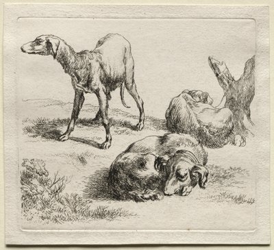 Drei Jagdhunde von Nicolaes Pietersz. Berchem