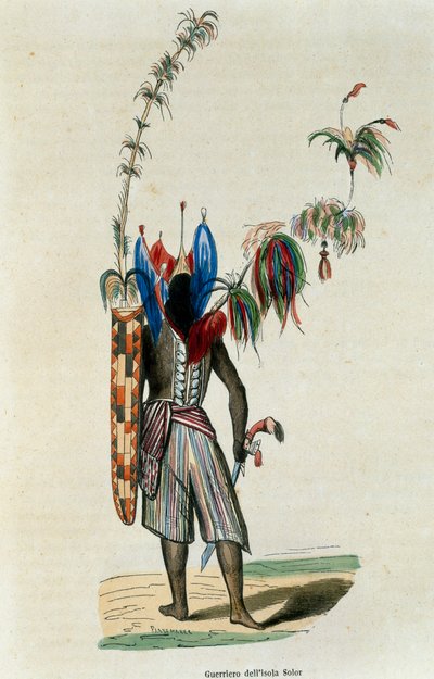 Krieger von der Insel Solor von Nicolas Dally