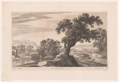 Landschaft mit Baum am See von Nicolas Perelle