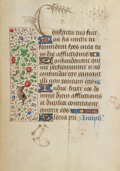 Dekorierte Textseite von Nicolas Spierinc