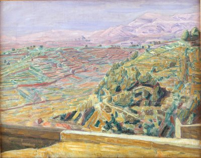 Aussicht vom Schlossplatz, Cagnes von Niels Larsen Stevns