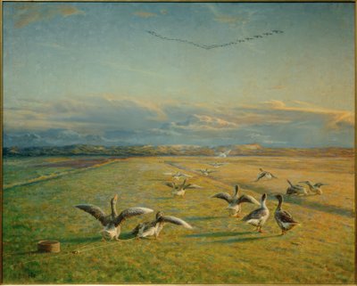 Herbstzug. Wildgänse und Hausgänse von Niels Pedersen Mols