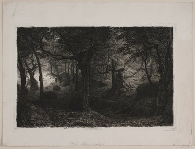 Der Trollwald von Niels Skovgaard