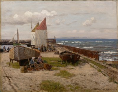 An der Küste von Nils Hansteen