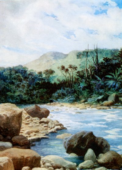 Landschaft in Eromanga, Neue Hebriden, 1908 von Norman Hardy