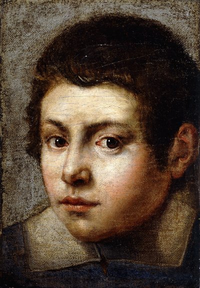 Kopf eines Jungen von Northern Italian School
