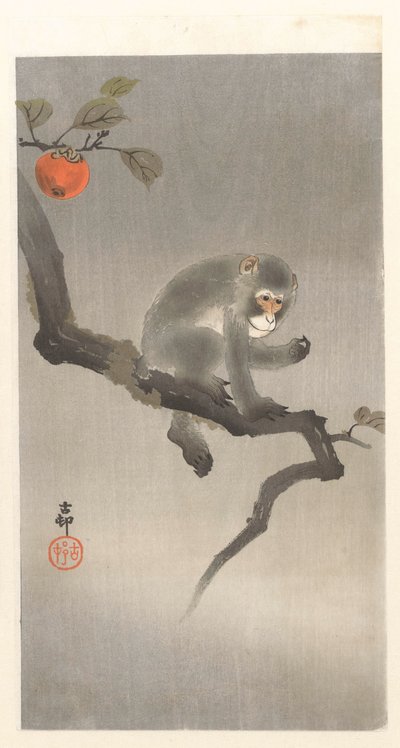 Affe im Kakibaum von Ohara Koson