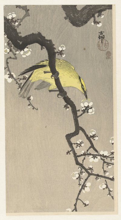 Chinesischer Pirol auf einem Pflaumenblütenzweig von Ohara Koson
