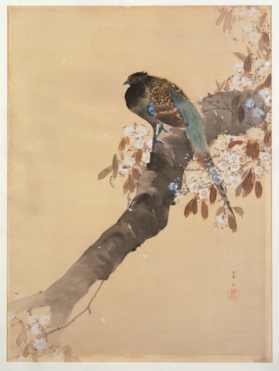 Fasan auf Kirschblütenzweig von Ohara Koson