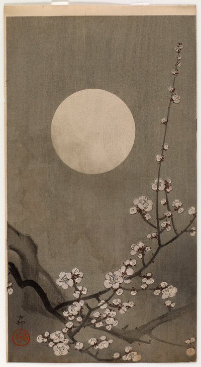Blühender Pflaumenbaum und Mond (Farbholzschnitt) von Ohara Koson