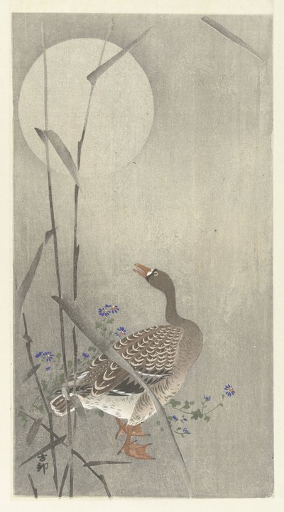 Gans bei Vollmond von Ohara Koson