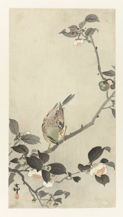 Gimpel auf einem Blütenzweig von Ohara Koson