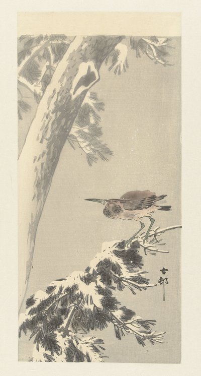 Indischer Nachtreiher auf verschneitem Ast von Ohara Koson