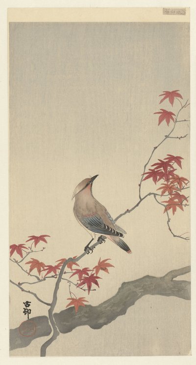 Japanische Seidenschwanz auf Ahorn von Ohara Koson
