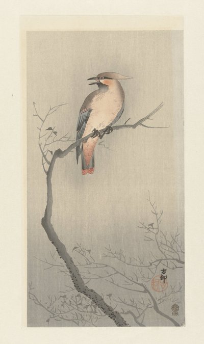 Japanische Seidenschwanz auf Ast von Ohara Koson